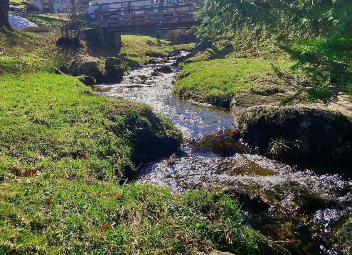 Apartment Relax-apartment Mit Indoor-pool, Sauna, Massagesessel Und Netflix Schonach im Schwarzwald