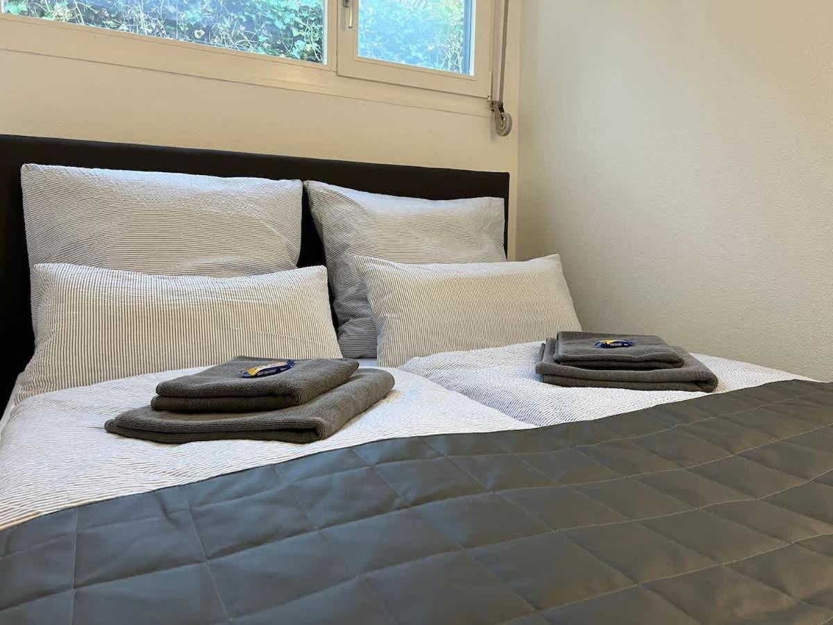 Relax-apartment Mit Indoor-pool, Sauna, Massagesessel Und Netflix Schonach im Schwarzwald